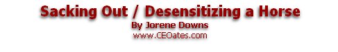 Sacking Out / Desensitizing a Horse
By Jorene Downs
www.CEOates.com